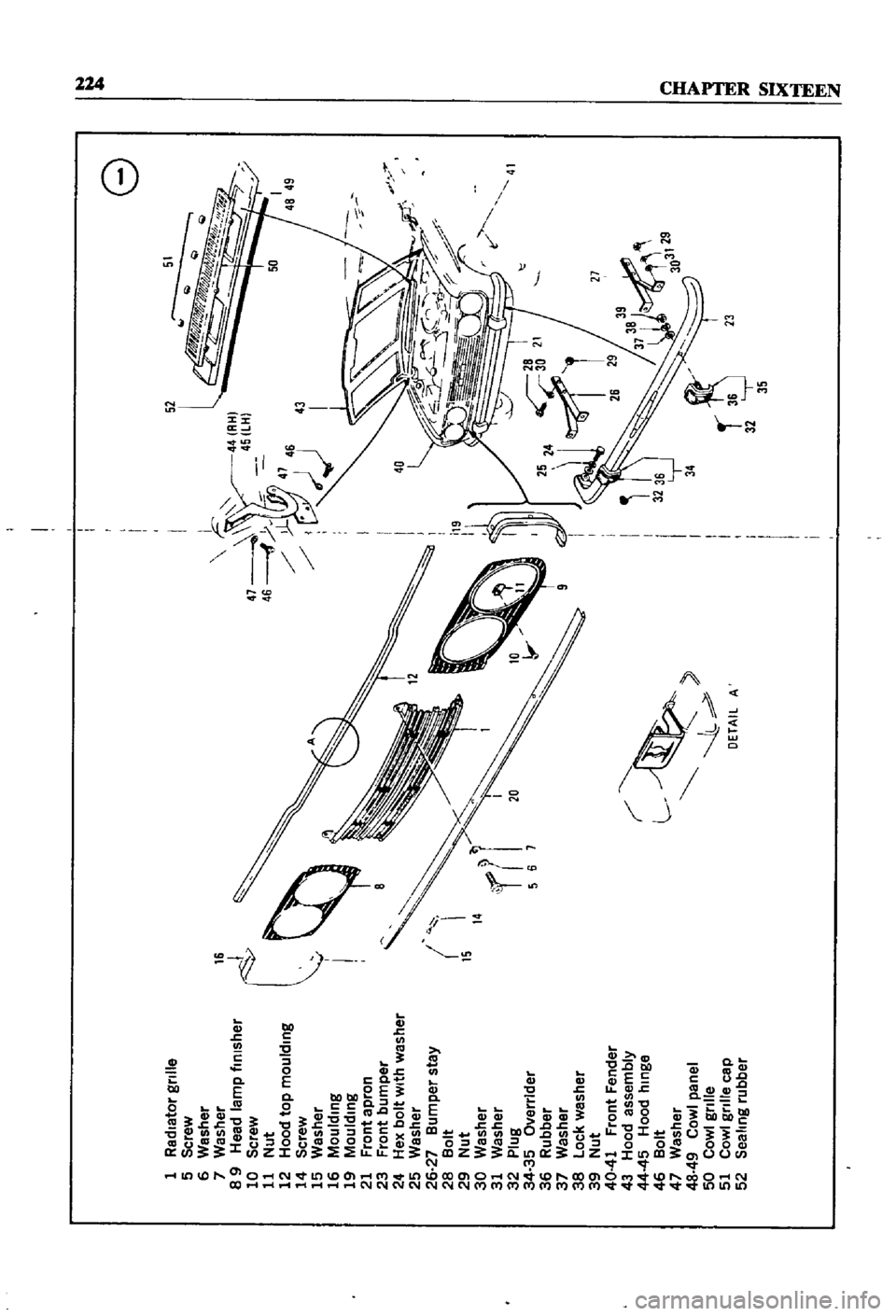 DATSUN 510 1968  Service Repair Manual 
1
Radiator
grille

5
Screw

6
Washer

7
Washer

8
9
Head
lamp
finIsher

10
Screw

11 
Nut

12
Hood 
top
moulding

14 
Screw

15
Washer

16
Moulding

19
Moulding

21 
Front 
apron

23 
Front
bumper

2