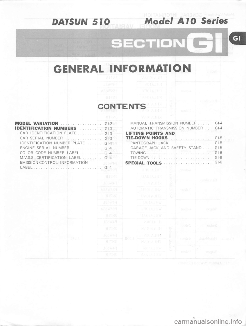 DATSUN 510 1980  Service Repair Manual 