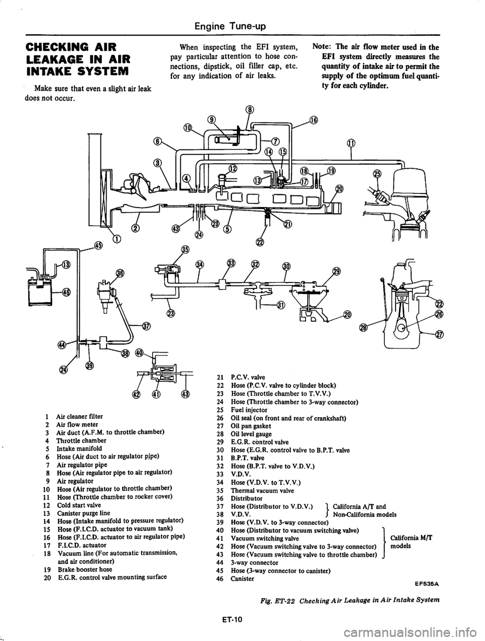 DATSUN 810 1979 User Guide 