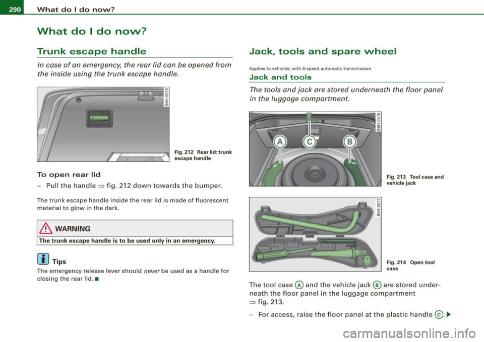 AUDI A4 CABRIOLET 2009  Owners Manual 1111...__W_ h_ a_ t_d_ o_ l _d _o_ n_ o_ vv_ ? ______________________________________________  _ 
What  do I do  now? 
Trunk  escape  handle 
In  case  of  an  emergency,  the  rear  lid  can  be  ope