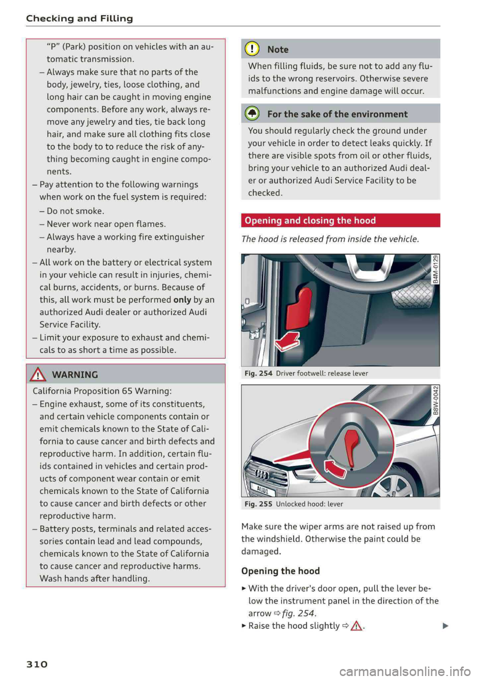 AUDI A4 2019  Owners Manual CheckingandFilling
 
 
“P”(Park)positiononvehicleswithanau-
tomatictransmission.
—Alwaysmakesurethatnopartsofthe
body,jewelry,ties,looseclothing,and
longhaircanbecaughtinmovingengine
components.