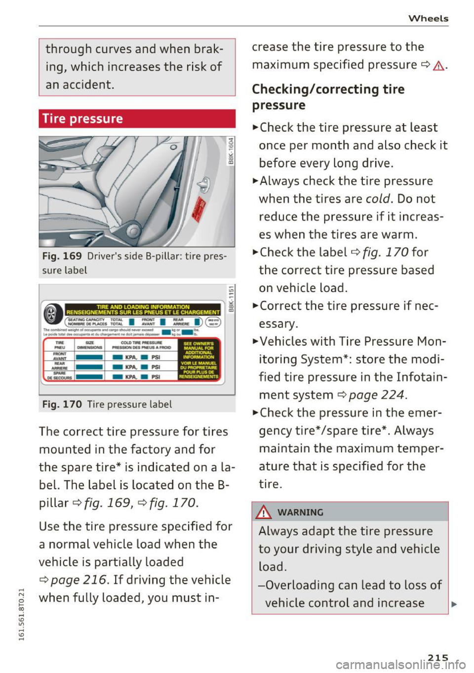 AUDI A5 COUPE 2016 Owners Manual _,
through curves and when braking, which increases the risk of
an accident.
Tire pressure
Fig. 169 Driver s sid e B-pillar : tir e pres
sure label
" -
-~-------------------,£ AUDI A5 COUPE 2016 Owners Manual _,
through curves and when braking, which increases the risk of
an accident.
Tire pressure
Fig. 169 Driver s sid e B-pillar : tir e pres
sure label
" -
-~-------------------,£