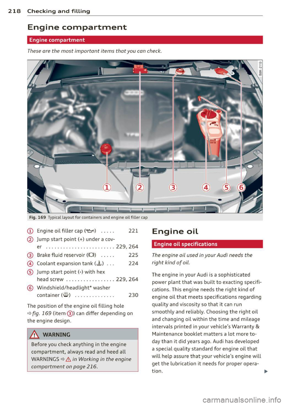 AUDI A5 COUPE 2013 User Guide 218 Checking and filling
Engine compartment
Engine compartment
These are the most important items that you can check.
Fig. 169 Typical layout for containers and eng ine o il fille AUDI A5 COUPE 2013 User Guide 218 Checking and filling
Engine compartment
Engine compartment
These are the most important items that you can check.
Fig. 169 Typical layout for containers and eng ine o il fille