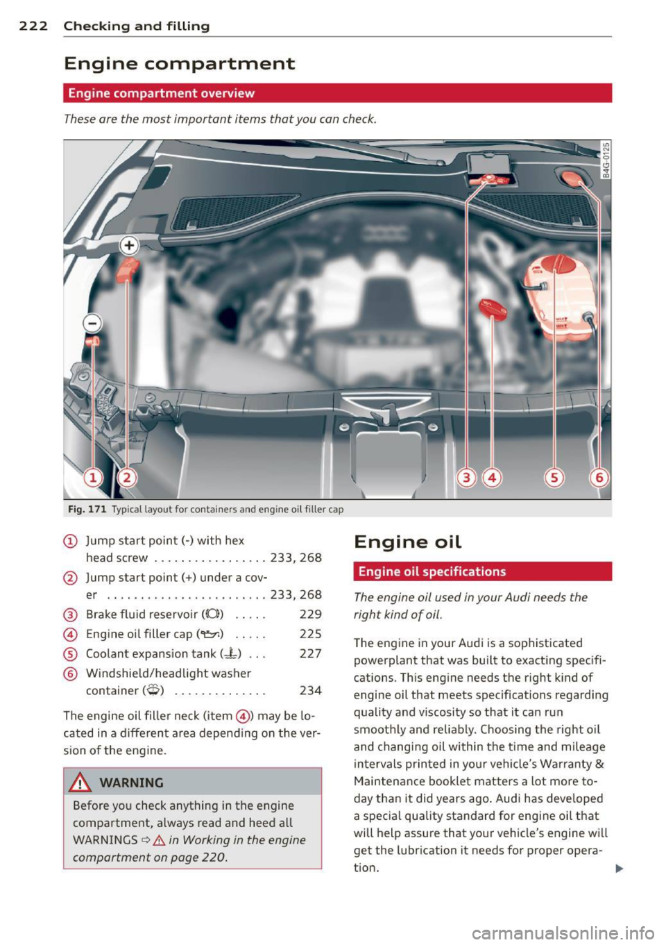 AUDI S6 2012  Owners Manual 222  Checking  and  filling 
Engine  compartment 
Engine compartment  overview 
These are the  most  important  items  that you  can check. 
Fig.  171 Typ ical  layout  for  contai ners  and  eng ine 