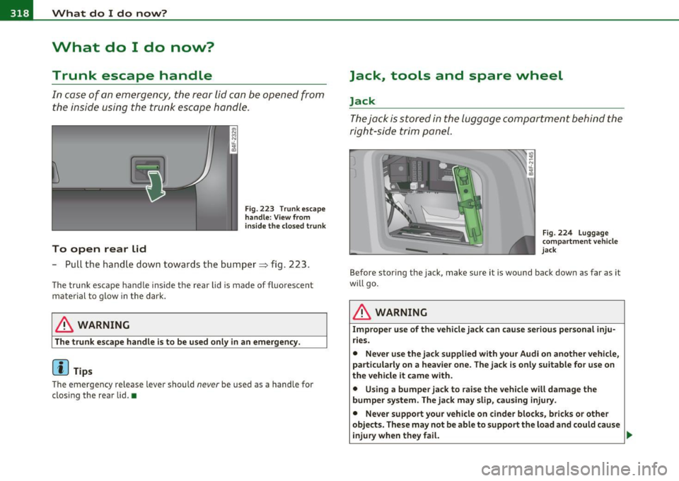 AUDI S6 2011  Owners Manual ffll.,___W_ h_ a_t _ d_ o_ I_d_ o_ n_o _w_ ? ___________________________________________  _ 
What  do  I  do  now? 
Trunk  escape  handle 
In  case  of  an emergency,  the  rear lid can be  opened  fr