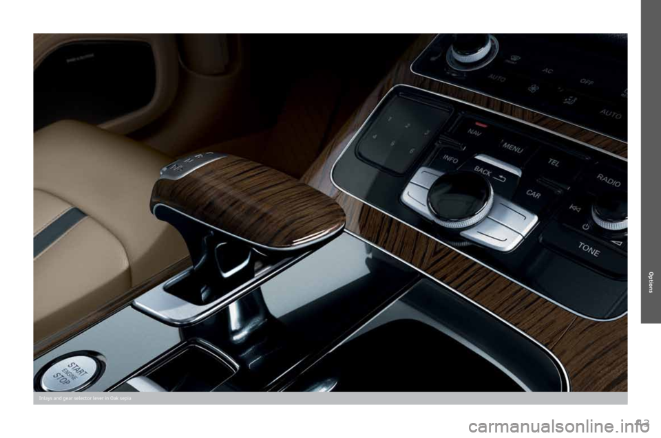 AUDI A8 2011 Service Manual 
43
Inlays	and	gear	selector	lever	in	Oak	sepia
Options  