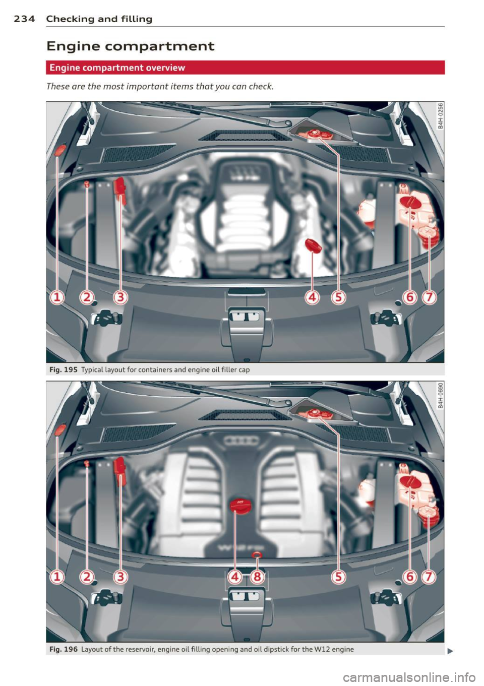 AUDI A8 2013 Owners Manual 234 Checking and filling
Engine compartment
Engine compartment overview
These are the most important items that you can check.
Fig. 195 Typical layout for co nta iners and eng ine AUDI A8 2013 Owners Manual 234 Checking and filling
Engine compartment
Engine compartment overview
These are the most important items that you can check.
Fig. 195 Typical layout for co nta iners and eng ine