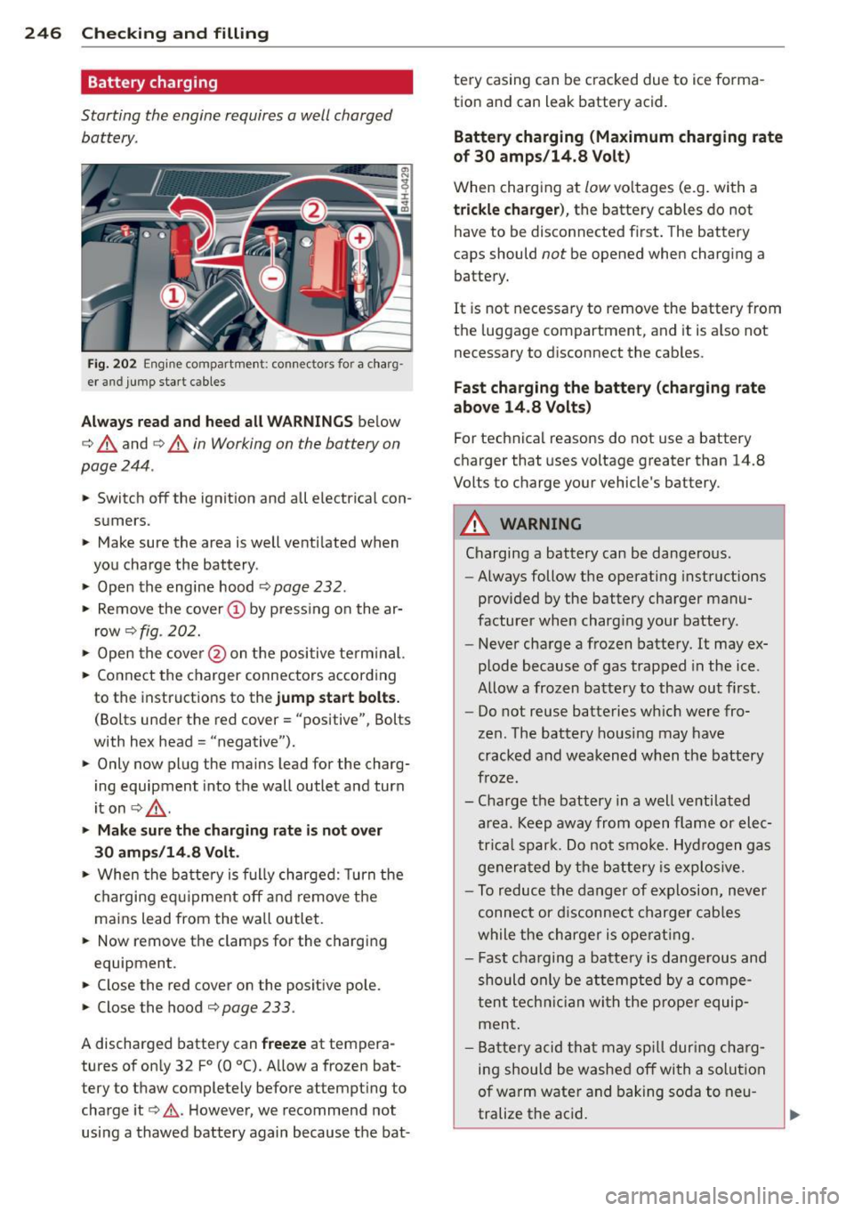 AUDI A8 2013 Owners Manual 246 Checking and filling
Battery charging
Starting the engine requires a well charged
battery.
Fig . 202 Engine co mpartme nt: connectors fo r a charg
er and jump sta rt cables
AUDI A8 2013 Owners Manual 246 Checking and filling
Battery charging
Starting the engine requires a well charged
battery.
Fig . 202 Engine co mpartme nt: connectors fo r a charg
er and jump sta rt cables