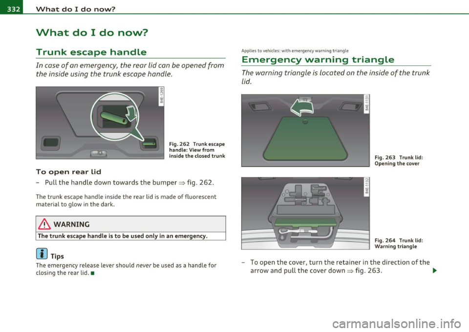 AUDI S8 2010  Owners Manual -What  do I do  now? PfH..._ _____________________  _ 
What  do  I  do  now? 
Trunk  escape  handle 
In  case  of  an emergency,  the  rear  lid can be  opened  from 
the  inside  using  the  trunk  e