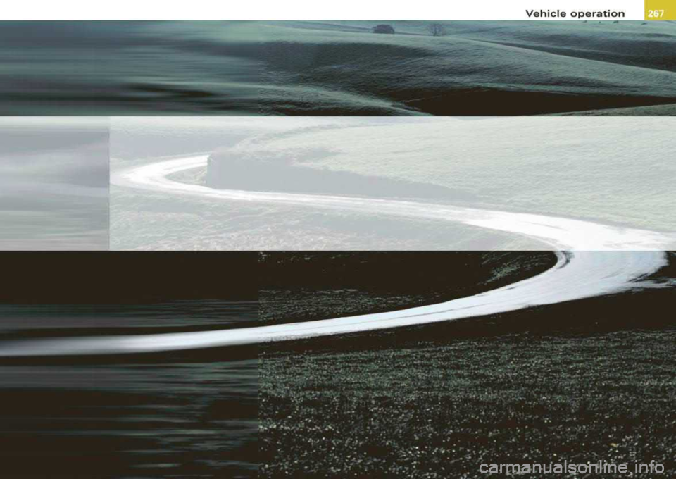 AUDI S8 2008  Owners Manual Vehicle  operation  