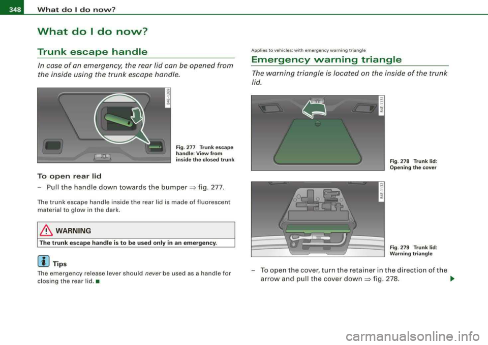 AUDI S8 2008  Owners Manual 1111 What  do  I do novv? 
---------------------------------------------
What  do I do  now? 
Trunk  escape  handle 
In  case  of  an  emergency,  the  rear  lid  can  be  opened  from  
the  inside 
