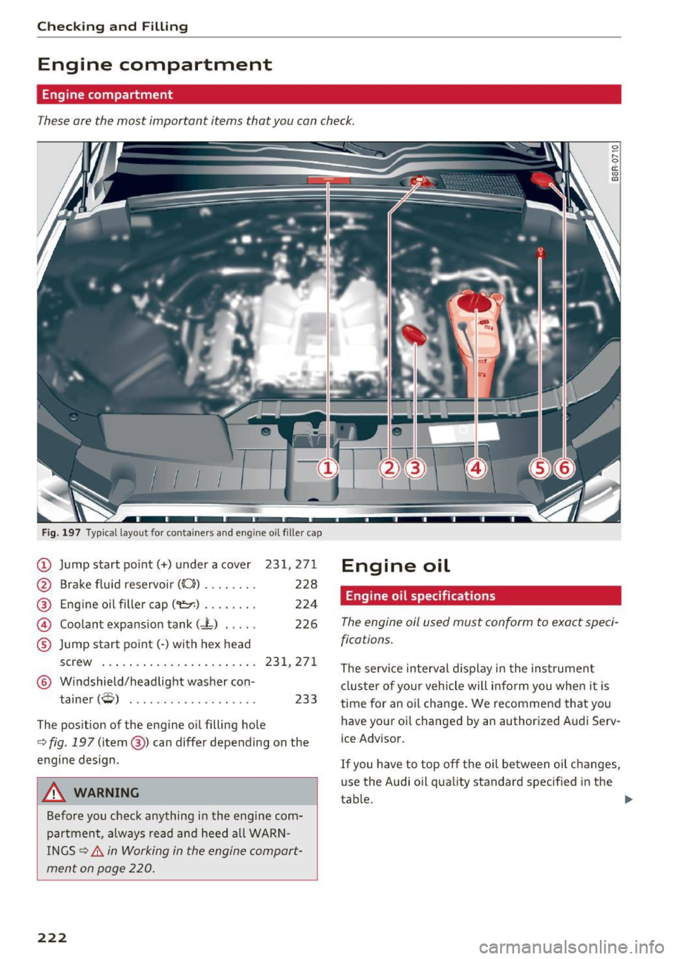 AUDI Q5 2016 Owners Manual Checking and Filling
Engine compartment
Engine compartment
These are the most important items that you can check.
Fig. 197 Typical layout for con tainers and eng ine oil filler cap
AUDI Q5 2016 Owners Manual Checking and Filling
Engine compartment
Engine compartment
These are the most important items that you can check.
Fig. 197 Typical layout for con tainers and eng ine oil filler cap