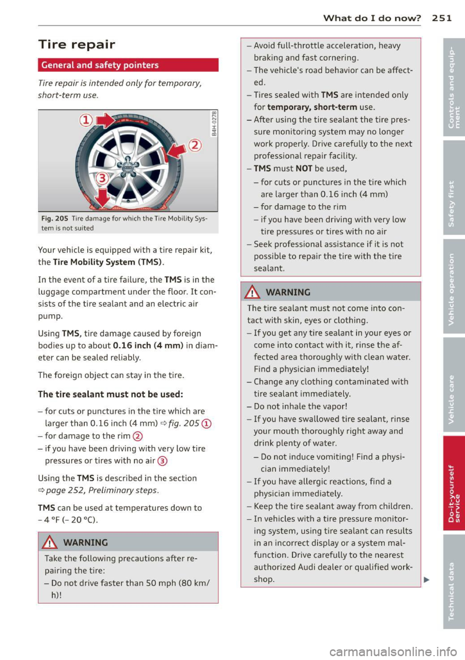 AUDI RS7 SPORTBACK 2014  Owners Manual Tire  repair 
General  and  safety  pointers 
Tire repair  is intended  only  for  temporary, 
short -term  use . 
Fig.  205 Tire damage  for  w hich  the  Tire Mobil ity  Sys · 
tern  is  not  su it