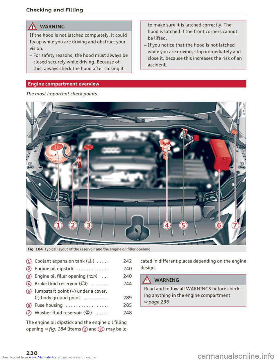 AUDI TT COUPE 2016 Service Manual Downloaded from www.Manualslib.com manuals search engine Checking and Filling
& WARNING
If the hood is not latched completely , it could
fly up while you are driving and obstruct your
vision.
AUDI TT COUPE 2016 Service Manual Downloaded from www.Manualslib.com manuals search engine Checking and Filling
& WARNING
If the hood is not latched completely , it could
fly up while you are driving and obstruct your
vision.
