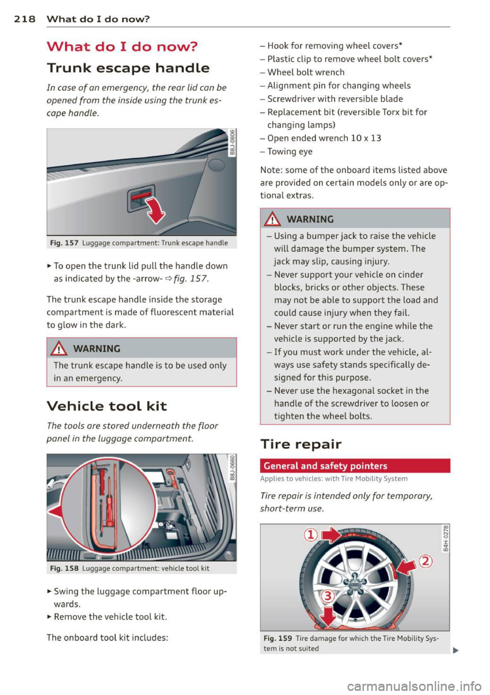 AUDI TT ROADSTER 2011  Owners Manual 218  What  do  I  do  now? 
What  do  I  do  now? 
Trunk  escape  handle 
In case  of  an emergency,  the  rear lid can be 
opened  from  the  inside  using  the  trunk  es­
cape  handle. 
Fig. 157 L