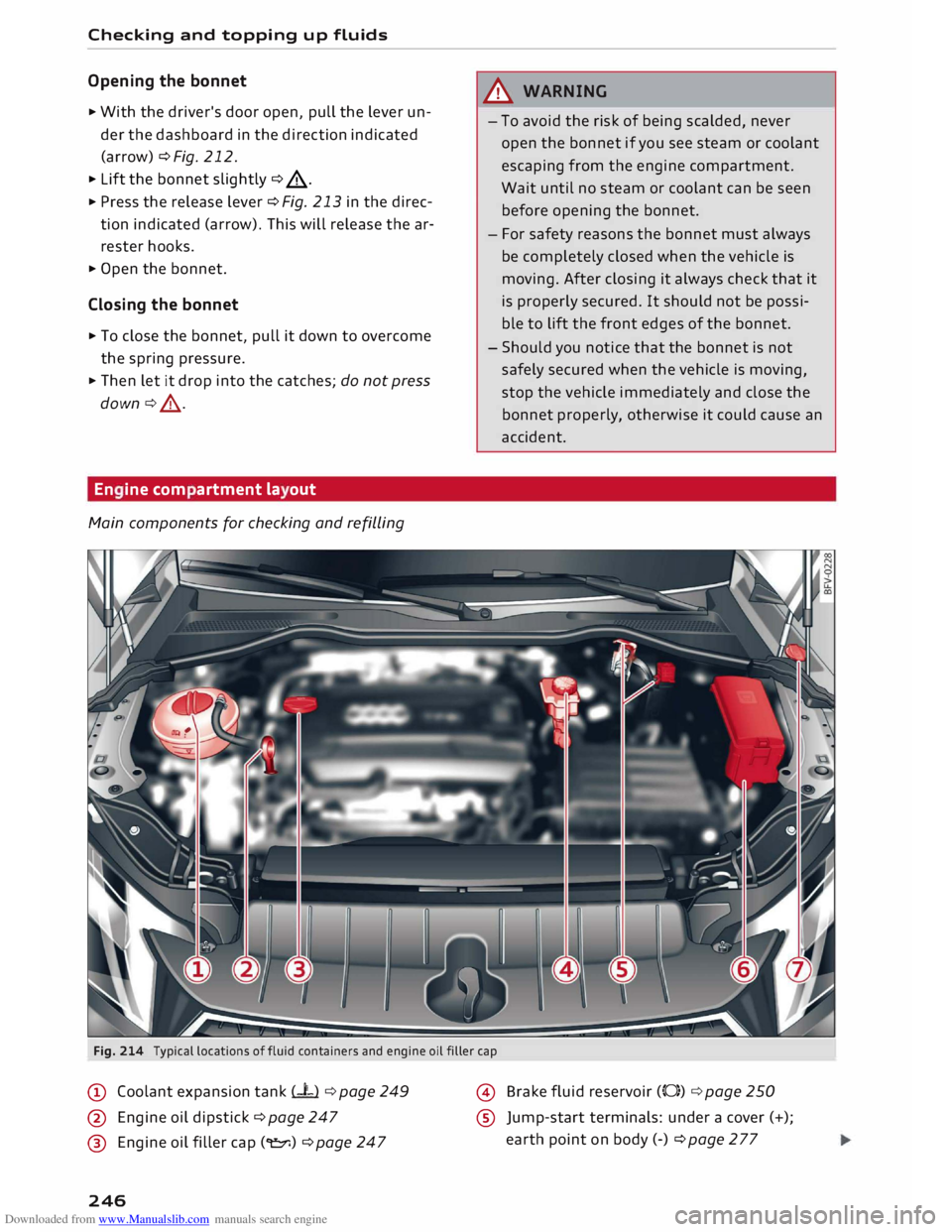 AUDI TT ROADSTER 2016  Owners Manual Downloaded from www.Manualslib.com manuals search engine Checking 
and topping  up fluids 
Opening  the bonnet 
�  With  the driver's  door open,  pull the Lever  un­
der  the dashboard  in the