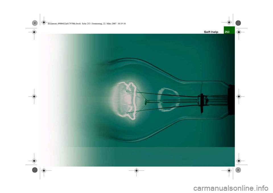 AUDI A5 2008 8T / 1.G Owners Manual 253 Self-help
document_0900452a8179700c.book  Seite 253  Donnerstag, 22. März 2007  10:19 10 