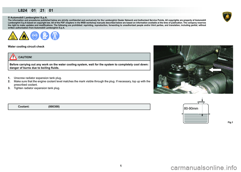 LAMBORGHINI MURCIÉLAGO 2009  Service Repair Manual  1 
L824    01    21    01
80-90mm
Fig.1
® Automobili Lamborghini S.p.A.�7�K�H��L�Q�I�R�U�P�D�W�L�R�Q��D�Q�G��S�U�R�F�H�G�X�U�H�V��S�X�E�O�L�V�K�H�G��E�H�O�R�Z��D�U�H��V�W�U�L�F�W�O�\��F�R�Q�