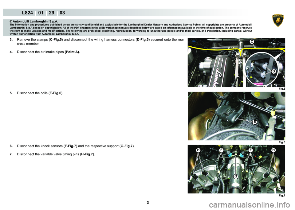 LAMBORGHINI MURCIÉLAGO 2009  Service Repair Manual 3
L824    01    29    03
Fig.5 Fig.6
E
Fig.7
HHFF
G
C
D
® Automobili Lamborghini S.p.A.
�7�K�H��L�Q�I�R�U�P�D�W�L�R�Q��D�Q�G��S�U�R�F�H�G�X�U�H�V��S�X�E�O�L�V�K�H�G��E�H�O�R�Z��D�U�H��V�W�U�L�