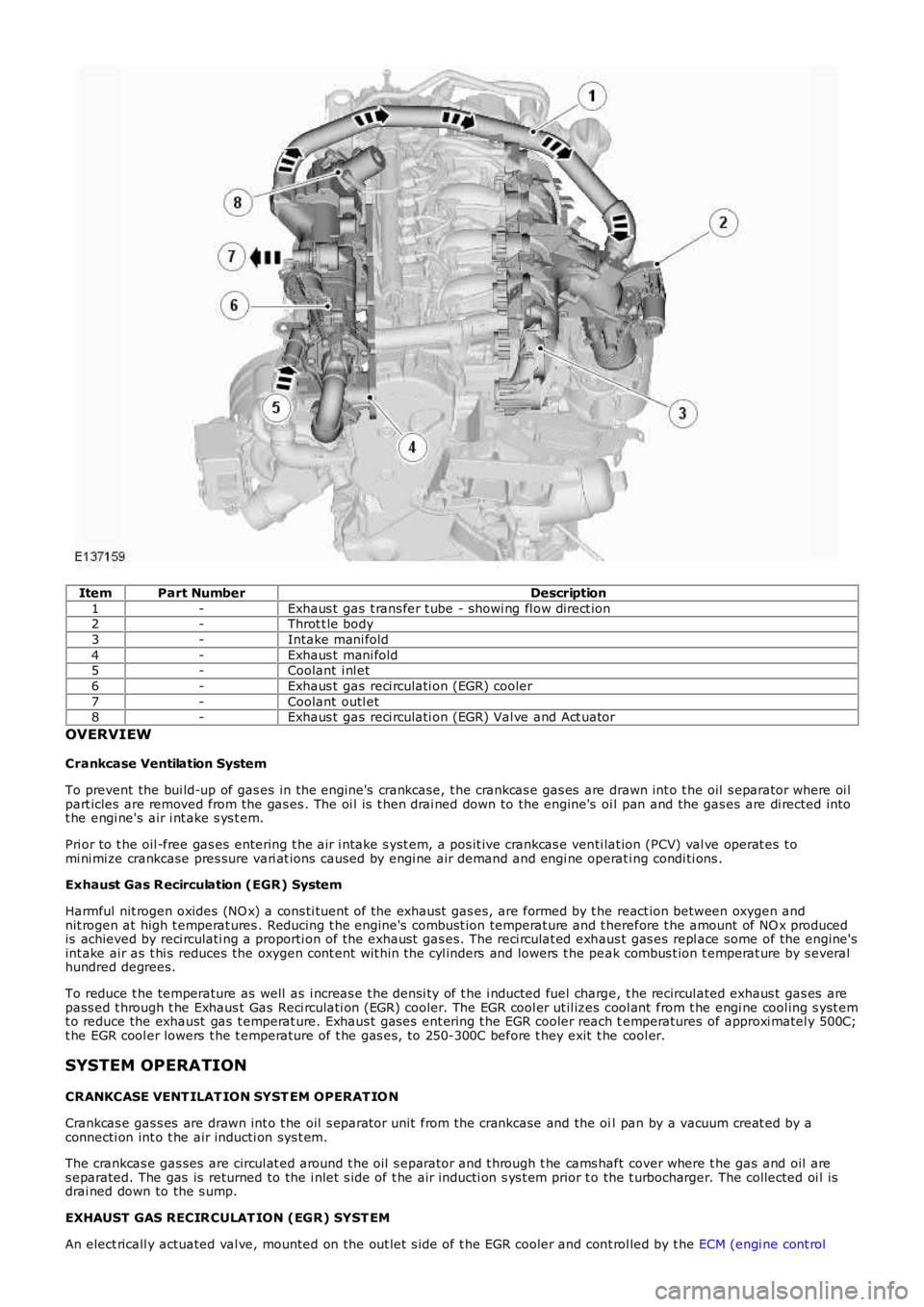 LAND ROVER FRELANDER 2 2006  Repair Manual ItemPart NumberDescription
1-Exhaus t  gas  t rans fer t ube - showi ng fl ow direct ion2-Throt t le body
3-Intake mani fold
4-Exhaus t  mani fold5-Coolant  i nl et
6-Exhaus t  gas  reci rculati on (E