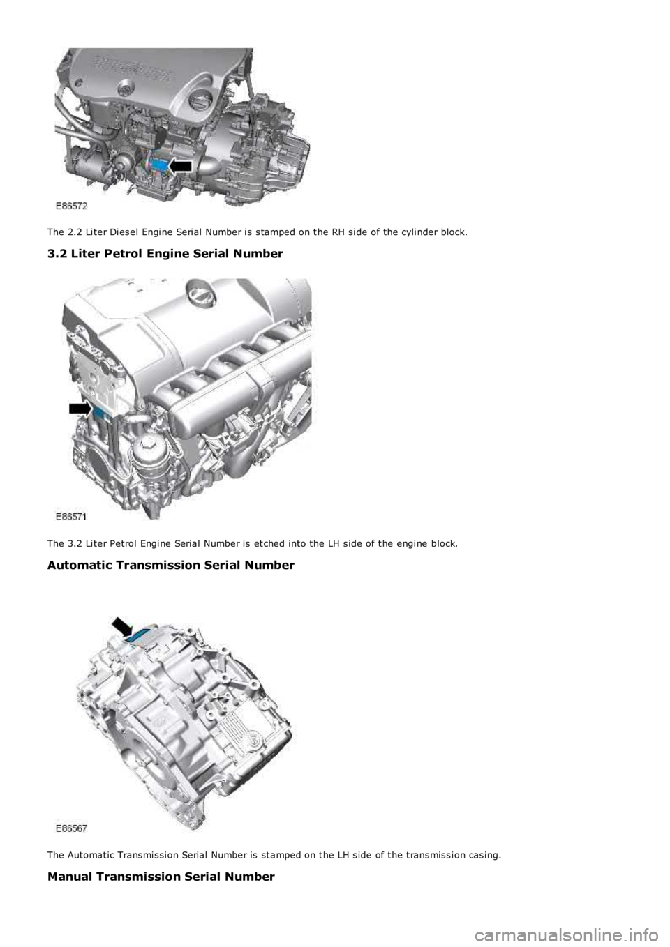 LAND ROVER FRELANDER 2 2006  Repair Manual The 2.2 Li ter Di es el Engi ne Seri al  Number i s s tamped on t he RH si de of the cyli nder block.
3.2 Liter Petrol Engine Serial Number
The 3.2 Li ter Petrol Engi ne Serial  Number is  et ched int