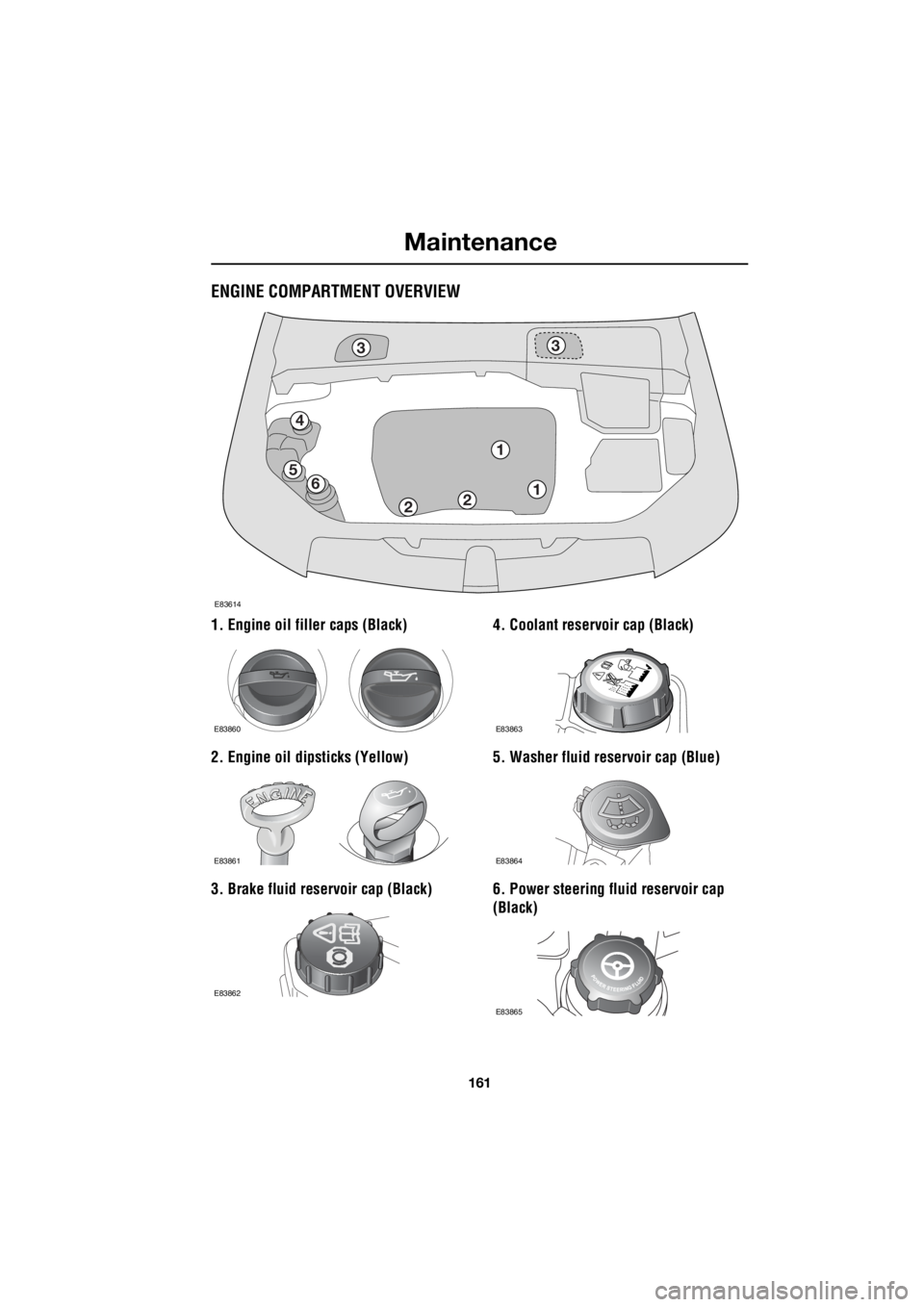 LAND ROVER FRELANDER 2 2006  Repair Manual 161
Maintenance
R
ENGINE COMPARTMENT OVERVIEW
1. Engine oil filler caps (Black) 
2. Engine oil   dipsticks (Yellow) 
3. Brake fluid reservoir cap (Black)  4. Coolant reservoir cap (Black) 
5. Washer f