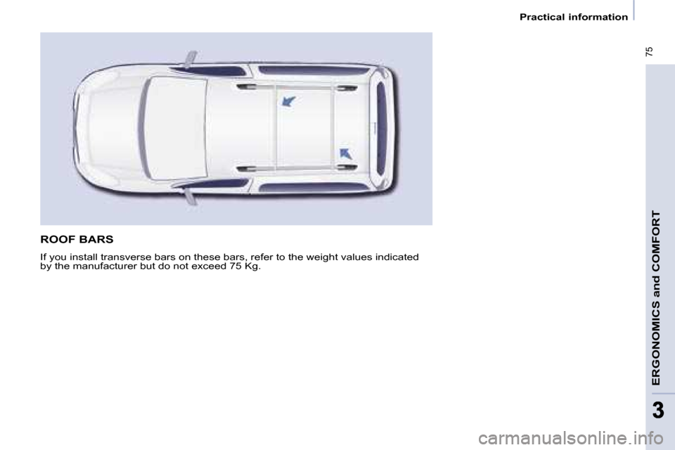 Citroen BERLINGO MULTISPACE 2008.5 2.G Manual PDF    Practical information   
� �7�5
ERGONOMICS and COMFORT
33
 ROOF BARS 
� �I�f� �y�o�u� �i�n�s�t�a�l�l� �t�r�a�n�s�v�e�r�s�e� �b�a�r�s� �o�n� �t�h�e�s�e� �b�a�r�s�,� �r�e�f�e�r� �t�o� �t�h�e� �w�e�i�