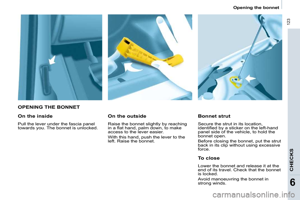 Citroen BERLINGO DAG 2009 2.G Owners Manual  123
   Opening the bonnet 
CHECKS
6
   OPENING THE BONNET 
  Bonnet strut  
 Secure the strut in its location,  
�i�d�e�n�t�i�ﬁ� �e�d� �b�y� �a� �s�t�i�c�k�e�r� �o�n� �t�h�e� �l�e�f�t�-�h�a�n�d� 
p