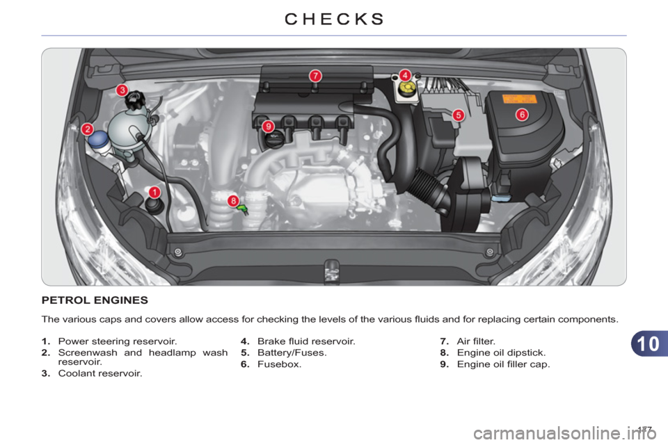 Citroen C4 DAG 2011 2.G Owners Manual 10
177
PETROL ENGINES
The various caps and covers allow access for checking the levels of the various fl uids and for replacing certain components.
1.
Power steering reservoir.
2.
Citroen C4 DAG 2011 2.G Owners Manual 10
177
PETROL ENGINES
The various caps and covers allow access for checking the levels of the various fl uids and for replacing certain components.
1.
Power steering reservoir.
2.