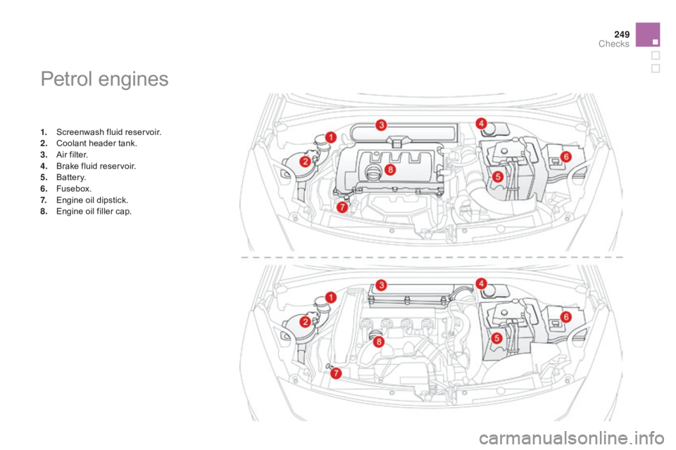 CITROEN DS3 CABRIO DAG 2015  Handbook (in English) 249
DS3_en_Chap11_verifications_ed01-2014
Petrol engines
1. Screenwash  fluid   reservoir.
2. C oolant   header   tank.
3.
 A

ir   filter.
4.
 B

rake   fluid   reservoir.
5.
 B

attery.