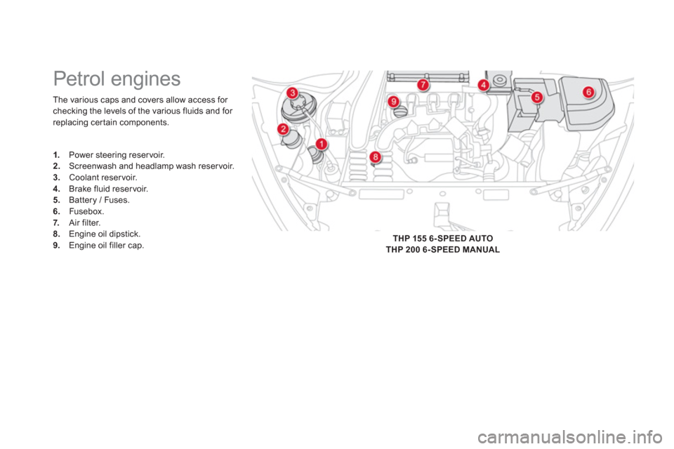 Citroen DS5 2013 1.G Owners Manual The various caps and covers allow access for 
checking the levels of the various fluids and for replacing cer tain components.
   
 
 
 
 
 
 
 
 
 
 
 
 
 
Petrol engines 
1. 
 Power steering reservo