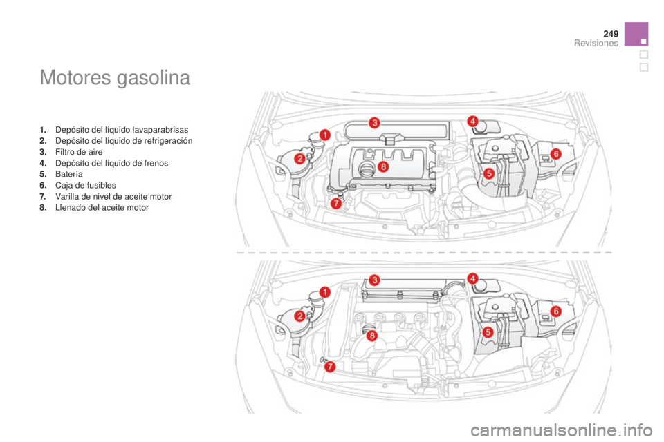 CITROEN DS3 2015  Manuales de Empleo (in Spanish) 249
DS3_es_Chap11_verifications_ed01-2014
Motores gasolina
1. Depósito del líquido lavaparabrisas
2. Depósito del líquido de refrigeración
3.
 F

iltro de aire
4.
 D

epósito del líquido de fre