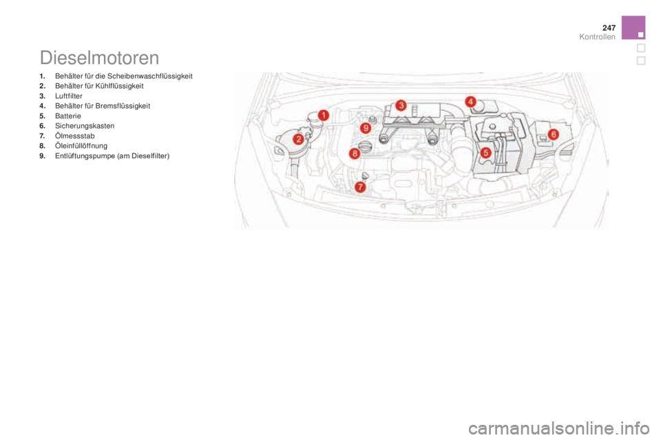 CITROEN DS3 2017 Betriebsanleitungen (in German) 247
DS3_de_Chap09_verifications_ed02-2015
Dieselmotoren
1. Behälter für die Scheibenwaschflüssigkeit
2. Be hälter für Kühlflüssigkeit
3.
L
uftfilter
4.
Be
hälter für Bremsflüssigkeit
5.
CITROEN DS3 2017 Betriebsanleitungen (in German) 247
DS3_de_Chap09_verifications_ed02-2015
Dieselmotoren
1. Behälter für die Scheibenwaschflüssigkeit
2. Be hälter für Kühlflüssigkeit
3.
L
uftfilter
4.
Be
hälter für Bremsflüssigkeit
5.