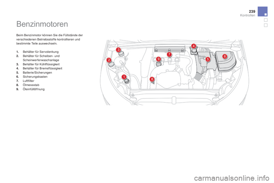 CITROEN DS4 2015 Betriebsanleitungen (in German) 239
DS4_de_Chap09_verifications_ed02-2015
Benzinmotoren
Beim Benzinmotor können Sie die Füllstände der
verschiedenen Betriebsstoffe kontrollieren und
bestimmte Teile auswechseln.
1.
B
ehälter f CITROEN DS4 2015 Betriebsanleitungen (in German) 239
DS4_de_Chap09_verifications_ed02-2015
Benzinmotoren
Beim Benzinmotor können Sie die Füllstände der
verschiedenen Betriebsstoffe kontrollieren und
bestimmte Teile auswechseln.
1.
B
ehälter f