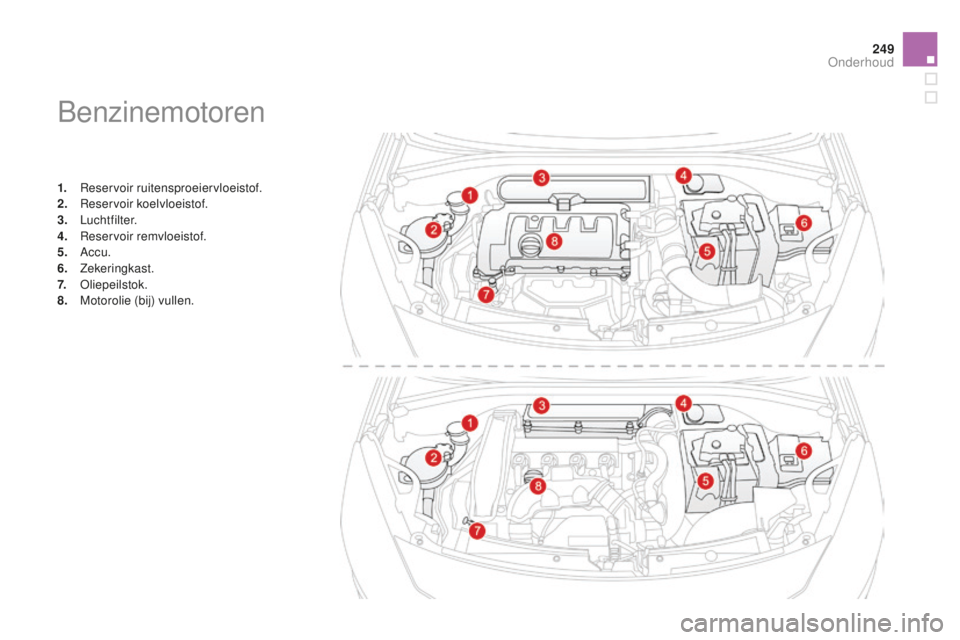 CITROEN DS3 2015 Instructieboekjes (in Dutch) 249
DS3_nl_Chap11_verifications_ed01-2014
benzinemotoren
1. reservoir ruitensproeiervloeistof.
2. re servoir koelvloeistof.
3.
Luchtfilter.
4.
r
e
servoir remvloeistof.
5.
Accu.
6.
Zekeri CITROEN DS3 2015 Instructieboekjes (in Dutch) 249
DS3_nl_Chap11_verifications_ed01-2014
benzinemotoren
1. reservoir ruitensproeiervloeistof.
2. re servoir koelvloeistof.
3.
Luchtfilter.
4.
r
e
servoir remvloeistof.
5.
Accu.
6.
Zekeri