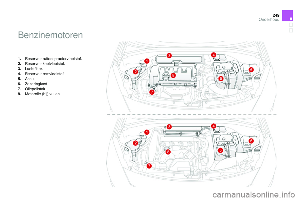 CITROEN DS3 CABRIO 2015  Instructieboekjes (in Dutch) 249
DS3_nl_Chap11_verifications_ed01-2014
benzinemotoren
1. reservoir ruitensproeiervloeistof.
2. re servoir koelvloeistof.
3.
 

Luchtfilter.
4.
 

r
e
 servoir remvloeistof.
5.
 

Accu.
6.
 

Zekeri