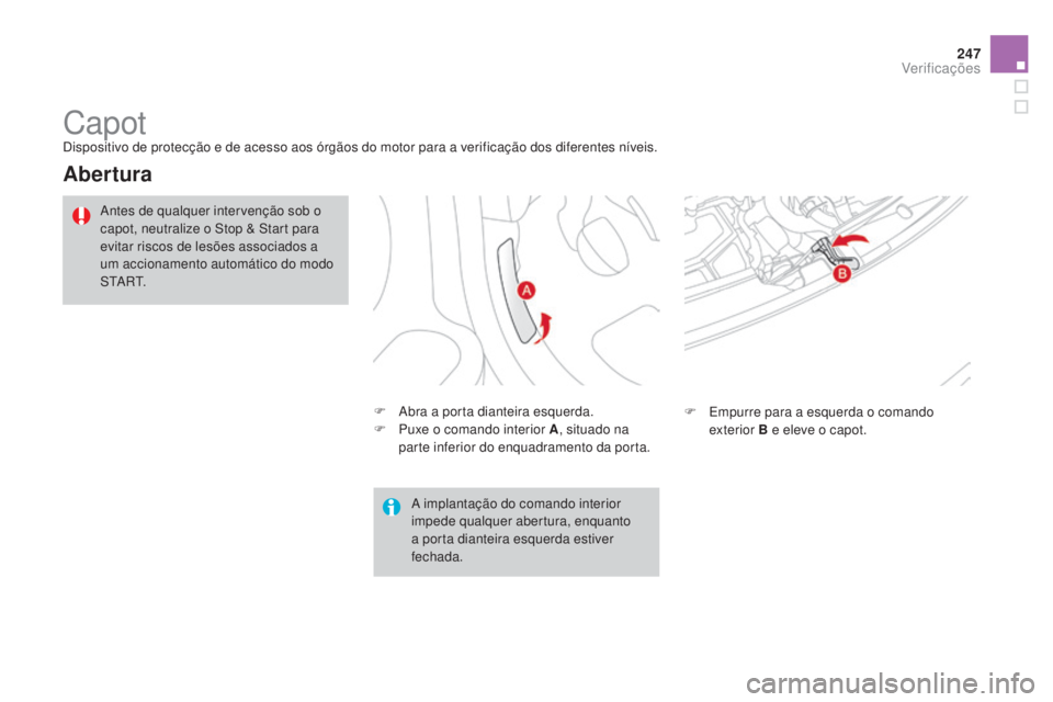 CITROEN DS3 2015 Manual do condutor (in Portuguese) 247
DS3_pt_Chap11_verifications_ed01-2014
CapotDispositivo de protecção e de acesso aos órgãos do motor para a verificação dos diferentes níveis.
Abertura
F Abra a porta dianteira esquerda.
F P CITROEN DS3 2015 Manual do condutor (in Portuguese) 247
DS3_pt_Chap11_verifications_ed01-2014
CapotDispositivo de protecção e de acesso aos órgãos do motor para a verificação dos diferentes níveis.
Abertura
F Abra a porta dianteira esquerda.
F P