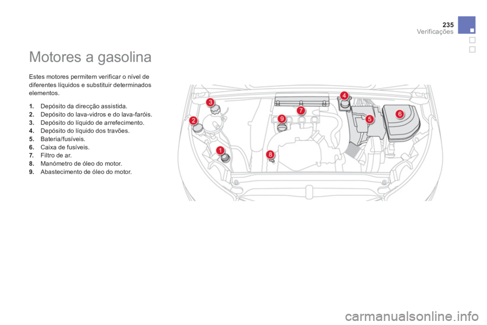 CITROEN DS4 2013  Manual do condutor (in Portuguese) 235
Ver if ic aç ões
   
 
 
 
 
 
 
 
 
 
 
 
 
 
Motores a gasolina 
 
Estes motores permitem verificar o nível de
di
ferentes líquidos e substituir determinados elementos. 
1.    Depósito da d