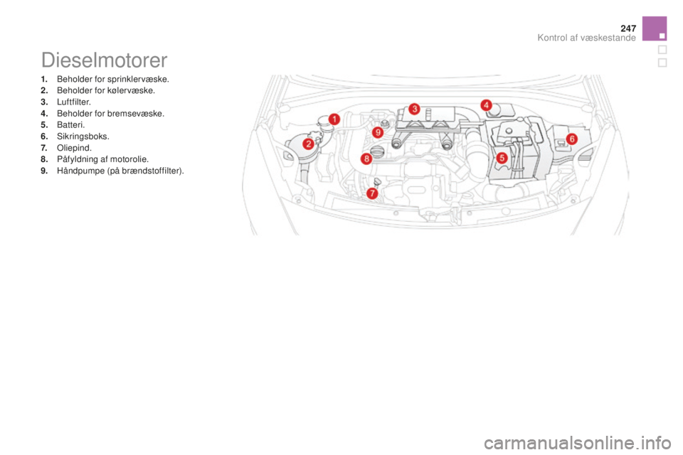 CITROEN DS3 CABRIO 2017 InstruktionsbØger (in Danish) 247
DS3_da_Chap09_verifications_ed02-2015
Dieselmotorer
1. Beholder for sprinklervæske.
2. Beh older for kølervæske.
3.
Lu
ftfilter.
4.
Beh
older for bremsevæske.
5.
B
atteri.
6.
S
ikrings CITROEN DS3 CABRIO 2017 InstruktionsbØger (in Danish) 247
DS3_da_Chap09_verifications_ed02-2015
Dieselmotorer
1. Beholder for sprinklervæske.
2. Beh older for kølervæske.
3.
Lu
ftfilter.
4.
Beh
older for bremsevæske.
5.
B
atteri.
6.
S
ikrings