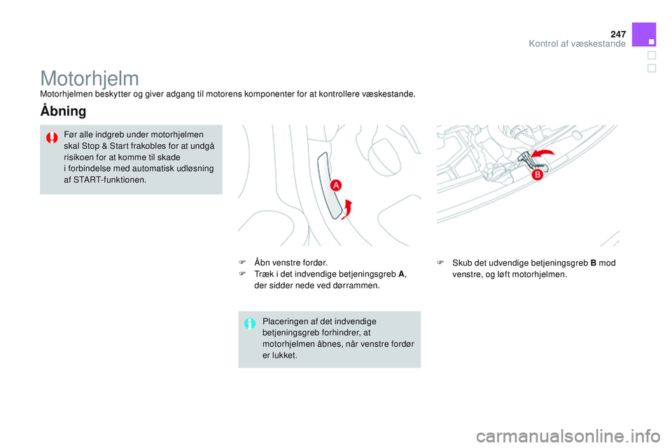 CITROEN DS3 CABRIO 2015 InstruktionsbØger (in Danish) 247
DS3_da_Chap11_verifications_ed01-2014
MotorhjelmMotorhjelmen beskytter og giver adgang til motorens komponenter for at kontrollere væskestande.
Åbning
F Åbn venstre fordør.
F tr æk i det ind CITROEN DS3 CABRIO 2015 InstruktionsbØger (in Danish) 247
DS3_da_Chap11_verifications_ed01-2014
MotorhjelmMotorhjelmen beskytter og giver adgang til motorens komponenter for at kontrollere væskestande.
Åbning
F Åbn venstre fordør.
F tr æk i det ind