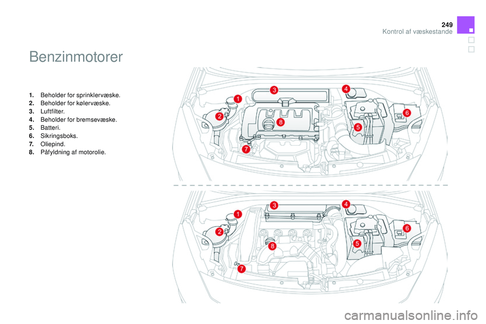 CITROEN DS3 CABRIO 2015 InstruktionsbØger (in Danish) 249
DS3_da_Chap11_verifications_ed01-2014
benzinmotorer
1. beholder for sprinklervæske.
2. beh older for kølervæske.
3.
Luftfilter.
4.
b
eh
older for bremsevæske.
5.
bat
teri.
6.
Sikri CITROEN DS3 CABRIO 2015 InstruktionsbØger (in Danish) 249
DS3_da_Chap11_verifications_ed01-2014
benzinmotorer
1. beholder for sprinklervæske.
2. beh older for kølervæske.
3.
Luftfilter.
4.
b
eh
older for bremsevæske.
5.
bat
teri.
6.
Sikri