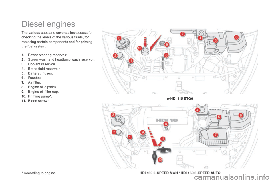 Citroen DS5 HYBRID4 2015 1.G Owners Manual DS5_en_Chap09_verifications_ed01-2015
The various caps and covers allow access for
checking the levels of the various fluids, for
replacing certain components and for priming
the fuel system.
* Acc Citroen DS5 HYBRID4 2015 1.G Owners Manual DS5_en_Chap09_verifications_ed01-2015
The various caps and covers allow access for
checking the levels of the various fluids, for
replacing certain components and for priming
the fuel system.
* Acc
