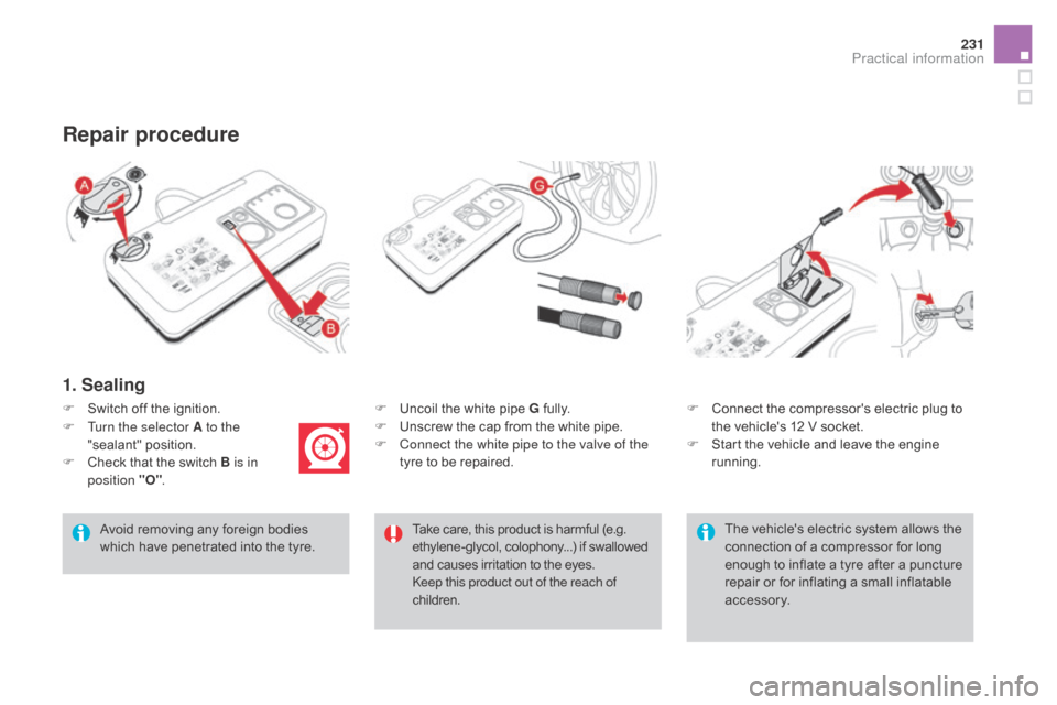 Citroen DS4 2016 1.G Owners Manual 231
DS4_en_Chap09_info-pratiques_ed03-2015
1. Sealing
F Uncoil the white pipe G fully.
F U nscrew the cap from the white pipe.
F
 
C
 onnect the white pipe to the valve of the 
tyre to be repaired.
Re