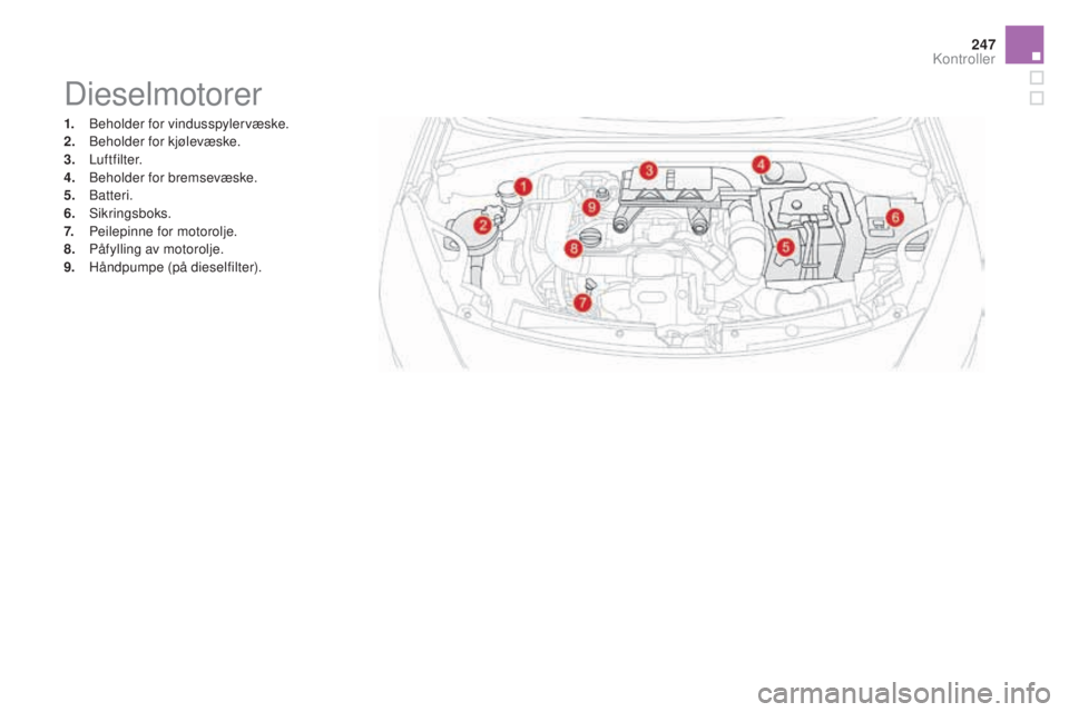 CITROEN DS3 2017  InstruksjonsbØker (in Norwegian) 247
DS3_no_Chap09_verifications_ed02-2015
Dieselmotorer
1. Beholder for vindusspylervæske.
2. Beh older for kjølevæske.
3.
 Lu

ftfilter.
4.
 Beh

older for bremsevæske.
5.
 B

atteri.
6.
 S

ikri