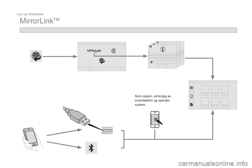 CITROEN DS3 CABRIO 2016  InstruksjonsbØker (in Norwegian)   Lyd og telematikk 
 
MirrorLink TM 
 
 
 
 
 
 
 
 
Som opsjon, avhengig av 
smarttelefon og operativ 
system.  
  