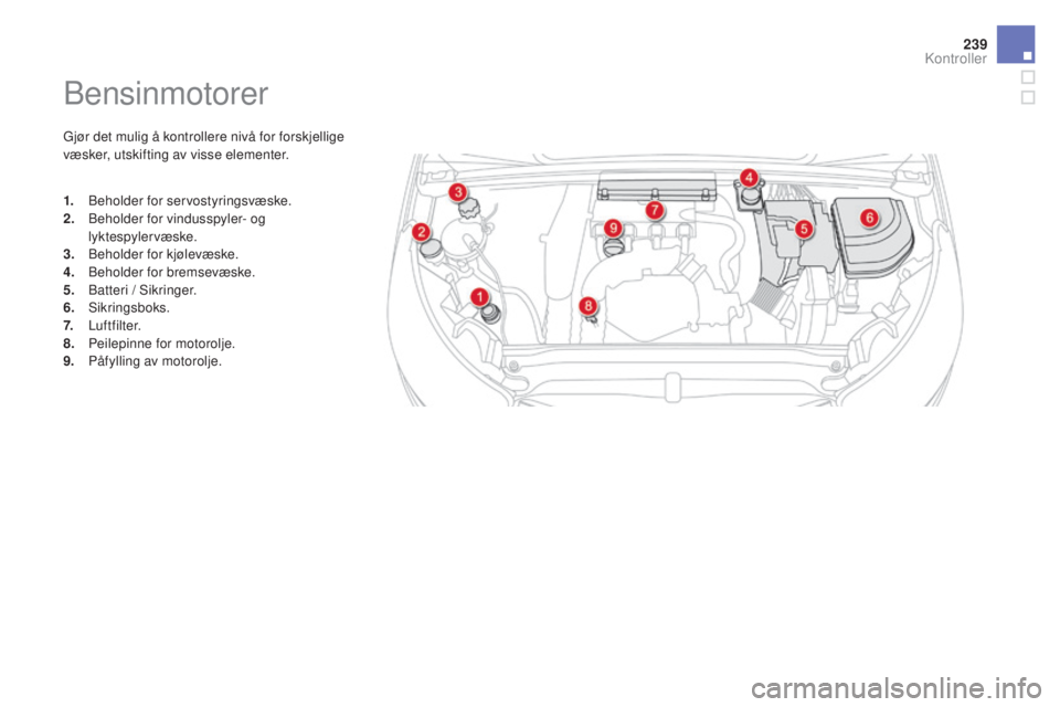 CITROEN DS4 2015 InstruksjonsbØker (in Norwegian) 239
DS4_no_Chap09_verifications_ed02-2015
Bensinmotorer
Gjør det mulig å kontrollere nivå for forskjellige
væsker, utskifting av visse elementer.
1.
B
eholder for servostyringsvæske.
2.
B
eho CITROEN DS4 2015 InstruksjonsbØker (in Norwegian) 239
DS4_no_Chap09_verifications_ed02-2015
Bensinmotorer
Gjør det mulig å kontrollere nivå for forskjellige
væsker, utskifting av visse elementer.
1.
B
eholder for servostyringsvæske.
2.
B
eho