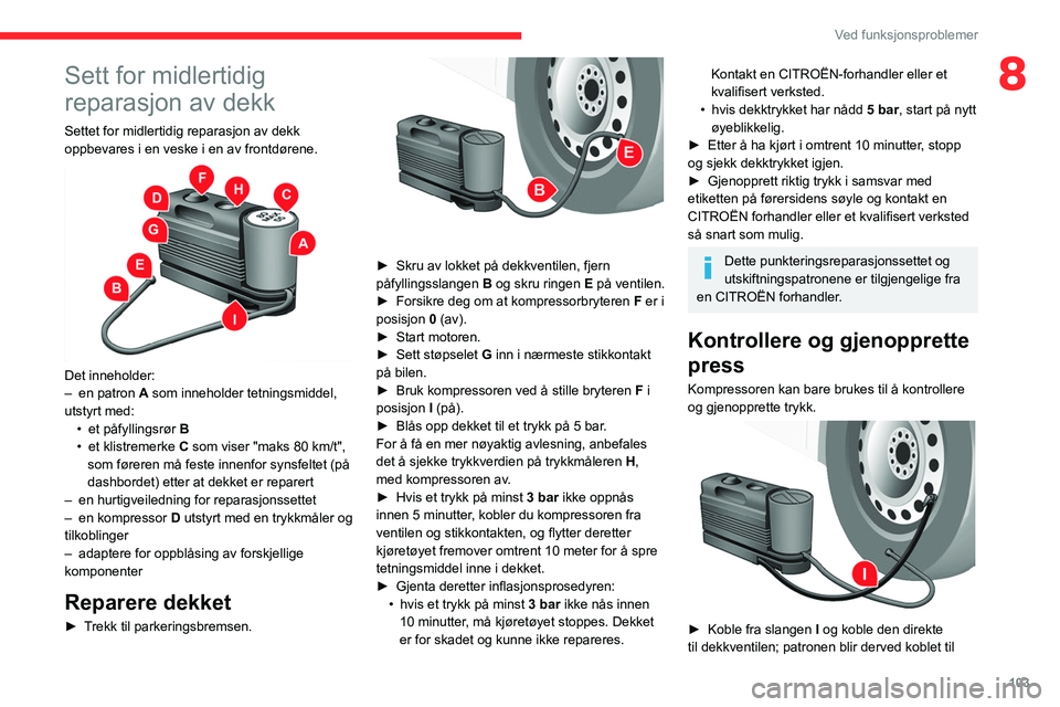 CITROEN JUMPER 2020  InstruksjonsbØker (in Norwegian) 103
Ved funksjonsproblemer
8Sett for midlertidig 
reparasjon av dekk
Settet for midlertidig reparasjon av dekk 
oppbevares i en veske i en av frontdørene.
 
 
Det inneholder:
–  en patron A som inn