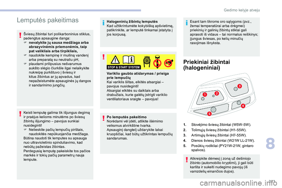 CITROEN JUMPER SPACETOURER 2020  Eksploatavimo vadovas (in Lithuanian) 211
Lemputės pakeitimas
Šviesų žibintai turi polikarboninius stiklus, 
padengtus apsaugine danga:
F 
n
 evalykite jų sausa medžiaga arba 
abrazyvinėmis priemonėmis, taip 
pat valikliais arba t