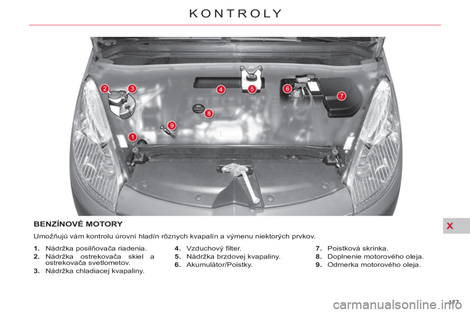 CITROEN C4 PICASSO 2013  Návod na použitie (in Slovak) X
177 
KONTROLY
BENZÍNOVÉ MOTORY 
  Umožňujú vám kontrolu úrovní hladín rôznych kvapalín a výmenu niektorých prvkov. 
   
 
1. 
 Nádržka posilňovača riadenia. 
   
2. 
 Nádržka  ost