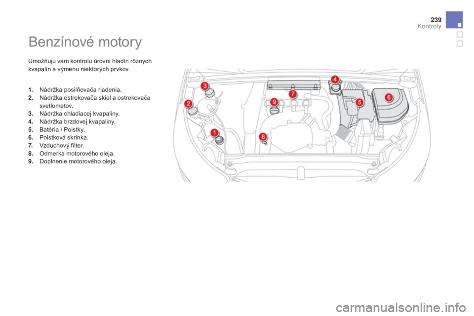 CITROEN DS4 2015 Návod na použitie (in Slovak) 239
DS4_sk_Chap09_verifications_ed02-2015
Benzínové motory
Umožňujú vám kontrolu úrovní hladín rôznych
kvapalín a výmenu niektorých prvkov.
1.
N
ádržka posilňovača riadenia.
2.
N
CITROEN DS4 2015 Návod na použitie (in Slovak) 239
DS4_sk_Chap09_verifications_ed02-2015
Benzínové motory
Umožňujú vám kontrolu úrovní hladín rôznych
kvapalín a výmenu niektorých prvkov.
1.
N
ádržka posilňovača riadenia.
2.
N